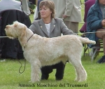 Filename=A Moschino.jpg
Filesize=59KiB
Dimensions=472x401
Date added=Sep 13, 2009 A Moschino.jpg
