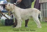 Filename=G StarsBillBailey.jpg
Filesize=57KiB
Dimensions=482x333
Date added=Sep 13, 2009 G StarsBillBailey.jpg