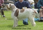 Filename=H ChaCha.jpg
Filesize=46KiB
Dimensions=396x280
Date added=Sep 13, 2009 H ChaCha.jpg