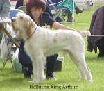 Filename=H KingArthur.jpg
Filesize=67KiB
Dimensions=450x394
Date added=Sep 13, 2009 H KingArthur.jpg