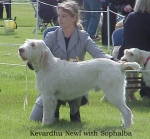 Filename=K Newl.jpg
Filesize=59KiB
Dimensions=433x404
Date added=Sep 13, 2009 K Newl.jpg