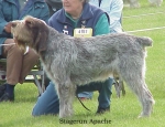 Filename=S Apache.jpg
Filesize=74KiB
Dimensions=528x407
Date added=Sep 13, 2009 S Apache.jpg