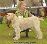 Filename=M DizzyBlonde.jpg
Filesize=50KiB
Dimensions=434x415
Date added=Sep 13, 2009 M DizzyBlonde.jpg