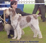 Filename=M KnightToRemember.jpg
Filesize=46KiB
Dimensions=425x396
Date added=Sep 13, 2009 M KnightToRemember.jpg