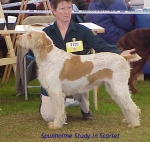 Filename=S StudyInScarlet.jpg
Filesize=55KiB
Dimensions=447x426
Date added=Sep 13, 2009 S StudyInScarlet.jpg