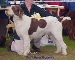Filename=T Tuppence.jpg
Filesize=47KiB
Dimensions=482x384
Date added=Sep 13, 2009 T Tuppence.jpg