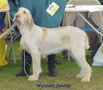 Filename=W Devine.jpg
Filesize=39KiB
Dimensions=397x350
Date added=Sep 13, 2009 W Devine.jpg