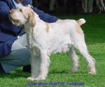 Filename=A Nigel.jpg
Filesize=37KiB
Dimensions=424x352
Date added=Sep 13, 2009 A Nigel.jpg