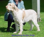 Filename=B PurdysPride.jpg
Filesize=35KiB
Dimensions=382x327
Date added=Sep 13, 2009 B PurdysPride.jpg