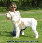 Filename=B StarTurnBOB.jpg
Filesize=50KiB
Dimensions=397x402
Date added=Sep 13, 2009 B StarTurnBOB.jpg