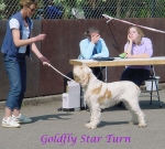 Filename=G StarTurn.jpg
Filesize=104KiB
Dimensions=877x795
Date added=Sep 13, 2009 G StarTurn.jpg