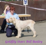 Filename=G StarsBillBailey.jpg
Filesize=35KiB
Dimensions=489x480
Date added=Sep 13, 2009 G StarsBillBailey.jpg