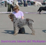 Filename=I Simoni.jpg
Filesize=36KiB
Dimensions=488x480
Date added=Sep 13, 2009 I Simoni.jpg