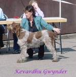 Filename=K Gwynder.jpg
Filesize=38KiB
Dimensions=477x480
Date added=Sep 13, 2009 K Gwynder.jpg