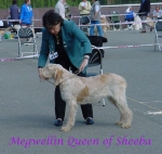 Filename=M QueenOfSheeba.jpg
Filesize=39KiB
Dimensions=505x480
Date added=Sep 13, 2009 M QueenOfSheeba.jpg
