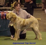 Filename=A TopSecret.jpg
Filesize=44KiB
Dimensions=398x389
Date added=Sep 13, 2009 A TopSecret.jpg