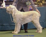 Filename=B LucaNoFurther.jpg
Filesize=47KiB
Dimensions=460x372
Date added=Sep 13, 2009 B LucaNoFurther.jpg