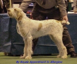 Filename=By RoyaleAppointment.jpg
Filesize=48KiB
Dimensions=453x381
Date added=Sep 13, 2009 By RoyaleAppointment.jpg