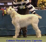 Dateiname=C Fioratini.jpg
Dateigröße=38KB
Abmessungen: 368x334
hinzugefügt am: 13. September 2009 C Fioratini.jpg