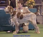 Filename=C HarryHoudini.jpg
Filesize=52KiB
Dimensions=447x387
Date added=Sep 13, 2009 C HarryHoudini.jpg