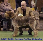 Filename=G DolliesGuzburyFool.jpg
Filesize=41KiB
Dimensions=361x340
Date added=Sep 13, 2009 G DolliesGuzburyFool.jpg