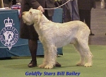 Filename=G StarsBillBailey.jpg
Filesize=35KiB
Dimensions=403x294
Date added=Sep 13, 2009 G StarsBillBailey.jpg