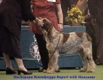 Filename=H RoundpeggaRupert.jpg
Filesize=64KiB
Dimensions=530x416
Date added=Sep 13, 2009 H RoundpeggaRupert.jpg