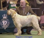 Dateiname=M Caravaggio.jpg
Dateigröße=66KB
Abmessungen: 504x440
hinzugefügt am: 13. September 2009 M Caravaggio.jpg