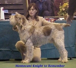 Filename=M KnightToRemember.jpg
Filesize=48KiB
Dimensions=432x386
Date added=Sep 13, 2009 M KnightToRemember.jpg