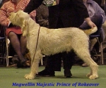 Filename=M MajesticPrince.jpg
Filesize=45KiB
Dimensions=417x349
Date added=Sep 13, 2009 M MajesticPrince.jpg