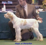 Filename=Magic at Sharpshot.jpg
Filesize=58KiB
Dimensions=465x458
Date added=Sep 13, 2009 Magic at Sharpshot.jpg