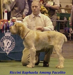 Filename=R Raphaela.jpg
Filesize=49KiB
Dimensions=385x391
Date added=Sep 13, 2009 R Raphaela.jpg
