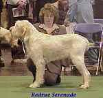 Filename=R Serenade.jpg
Filesize=36KiB
Dimensions=347x335
Date added=Sep 13, 2009 R Serenade.jpg