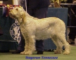 Filename=S Tennessee.jpg
Filesize=39KiB
Dimensions=415x331
Date added=Sep 13, 2009 S Tennessee.jpg