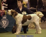 Filename=T Tuppence.jpg
Filesize=63KiB
Dimensions=520x421
Date added=Sep 13, 2009 T Tuppence.jpg