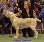 Dateiname=W Danzare.jpg
Dateigröße=41KB
Abmessungen: 368x349
hinzugefügt am: 13. September 2009 W Danzare.jpg