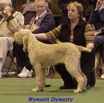 Dateiname=W Dynasty.jpg
Dateigröße=38KB
Abmessungen: 343x340
hinzugefügt am: 13. September 2009 W Dynasty.jpg