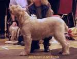 Nom du fichier=M DizzyBlonde.jpg
Taille du fichier=54Ko
Dimensions : 550x426
Ajouté le : 13 Septembre 2009 M DizzyBlonde.jpg