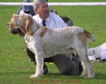 Filename=A Nigel.jpg
Filesize=49KiB
Dimensions=550x438
Date added=Sep 13, 2009 A Nigel.jpg