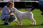 Filename=B GorgeousGussie.jpg
Filesize=50KiB
Dimensions=550x369
Date added=Sep 13, 2009 B GorgeousGussie.jpg