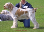 Filename=L Dexter.jpg
Filesize=50KiB
Dimensions=550x408
Date added=Sep 13, 2009 L Dexter.jpg