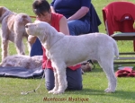 Filename=M Mystique.jpg
Filesize=54KiB
Dimensions=550x423
Date added=Sep 13, 2009 M Mystique.jpg