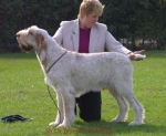 Filename=W Xcalaber.jpg
Filesize=50KiB
Dimensions=550x454
Date added=Sep 13, 2009 W Xcalaber.jpg