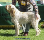 Filename=F Merletto.jpg
Filesize=59KiB
Dimensions=454x406
Date added=Sep 13, 2009 F Merletto.jpg