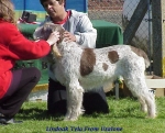 Filename=L Tyla.jpg
Filesize=69KiB
Dimensions=526x427
Date added=Sep 13, 2009 L Tyla.jpg