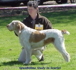 Filename=S StudyinScarlet.jpg
Filesize=61KiB
Dimensions=446x414
Date added=Sep 13, 2009 S StudyinScarlet.jpg