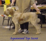 Filename=A TopSecret.jpg
Filesize=12KiB
Dimensions=295x264
Date added=Sep 13, 2009 A TopSecret.jpg