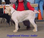 Filename=D FlorenceAmber.jpg
Filesize=16KiB
Dimensions=335x293
Date added=Sep 13, 2009 D FlorenceAmber.jpg