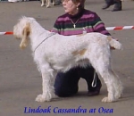 Filename=L Cassandra.jpg
Filesize=12KiB
Dimensions=332x288
Date added=Sep 13, 2009 L Cassandra.jpg