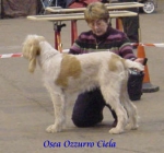 Filename=O OzzurroCiela.jpg
Filesize=15KiB
Dimensions=348x327
Date added=Sep 13, 2009 O OzzurroCiela.jpg